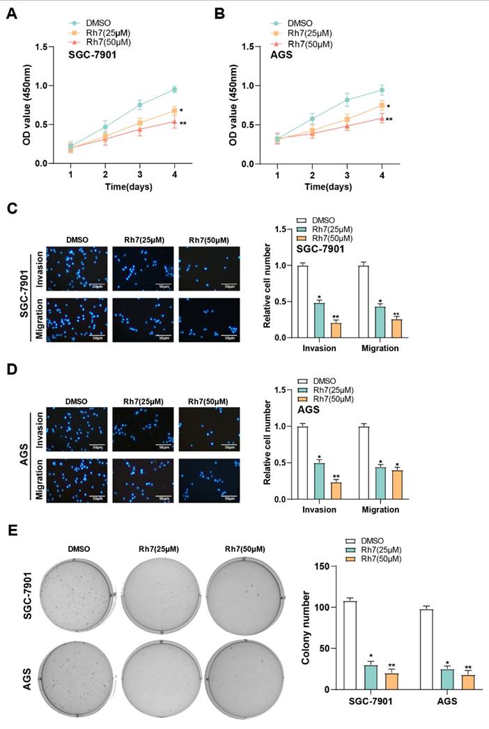 Int J Med Sci Image