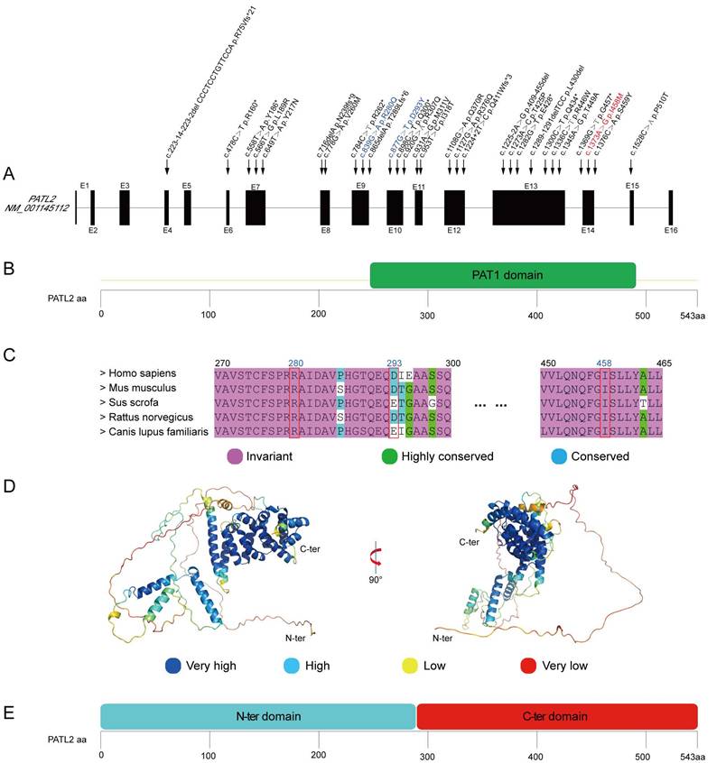 Int J Med Sci Image