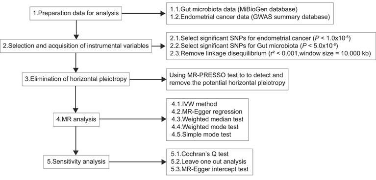 Int J Med Sci Image