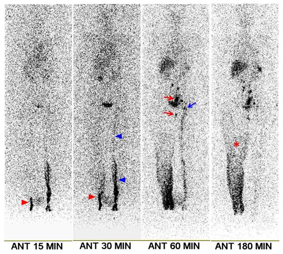 Int J Med Sci Image