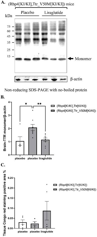 Int J Med Sci Image