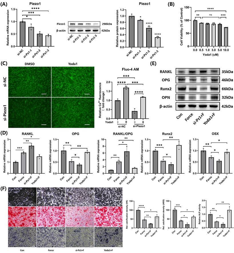 Int J Med Sci Image