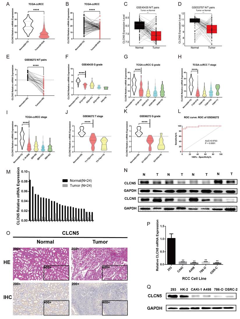 Int J Med Sci Image
