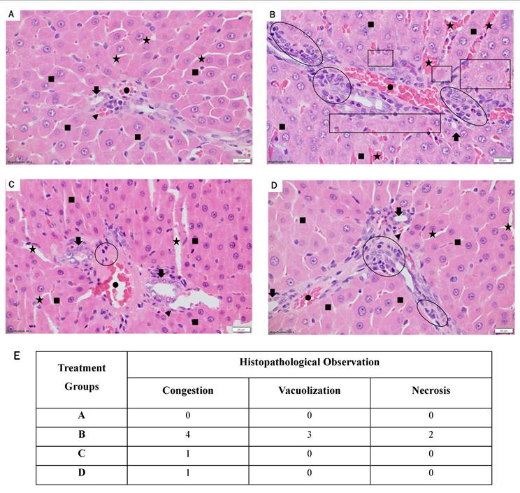 Int J Med Sci Image