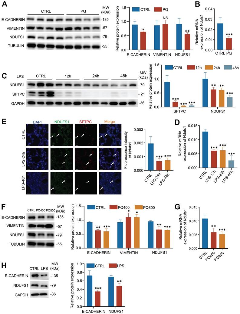 Int J Med Sci Image