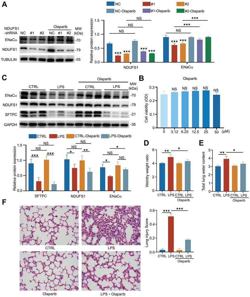 Int J Med Sci Image