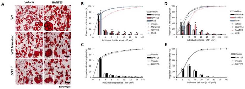 Int J Med Sci Image