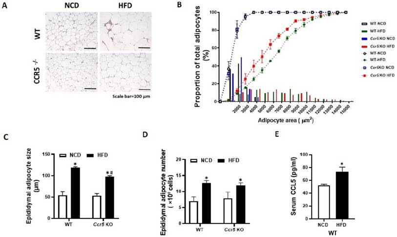 Int J Med Sci Image
