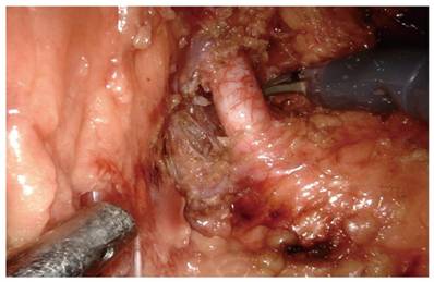 Int J Med Sci Image