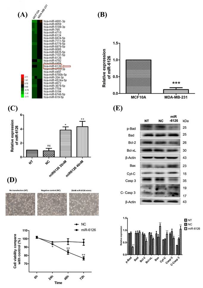 Int J Med Sci Image