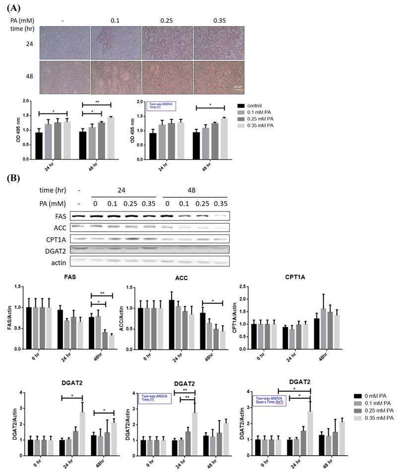 Int J Med Sci Image