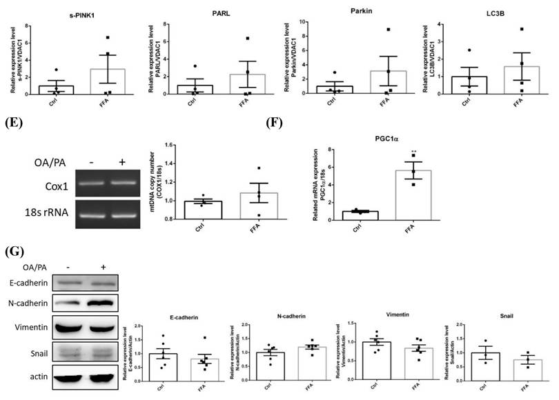 Int J Med Sci Image