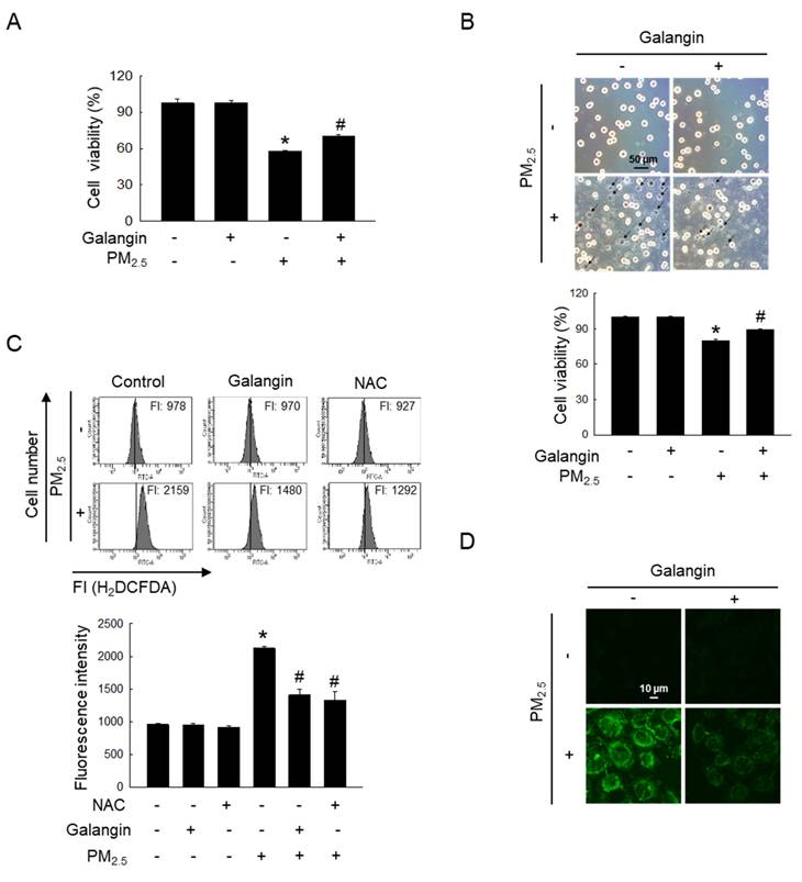 Int J Med Sci Image