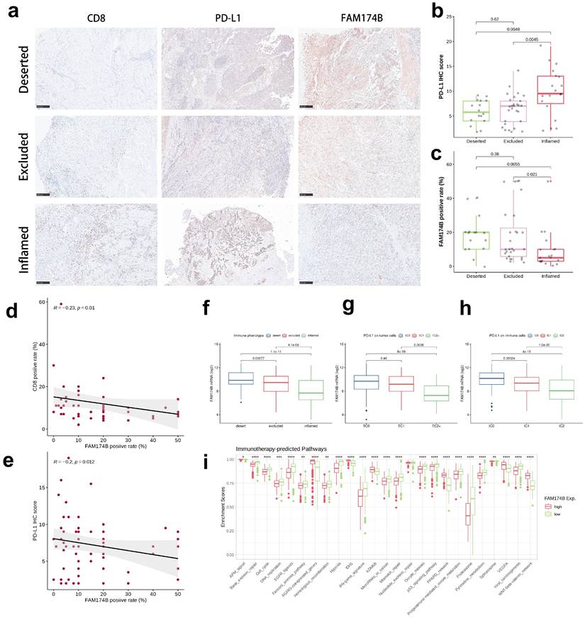 Int J Med Sci Image
