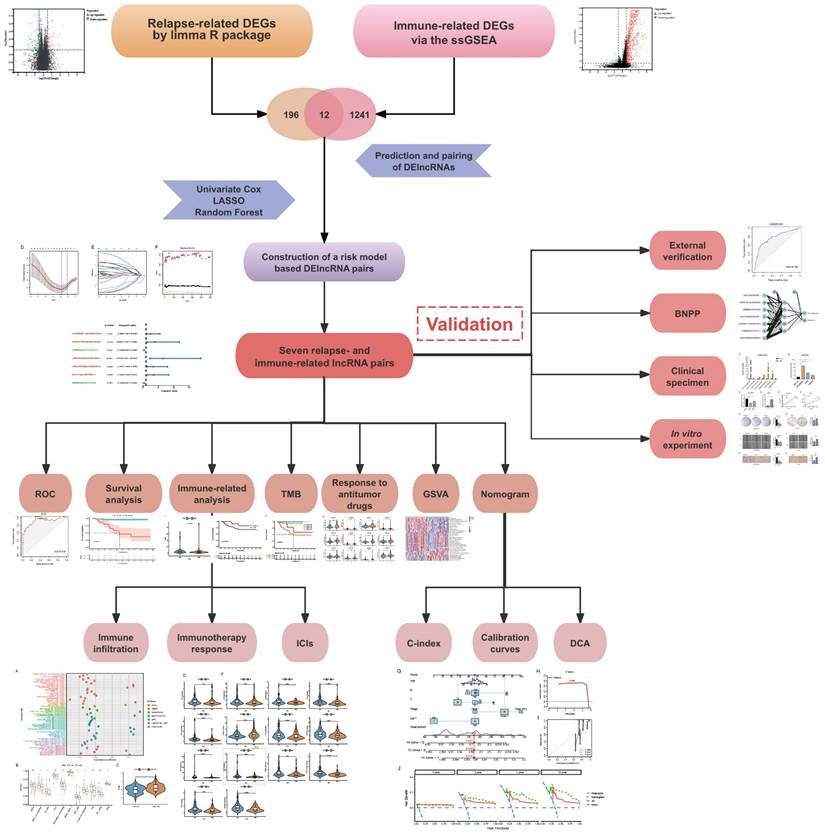 Int J Med Sci Image