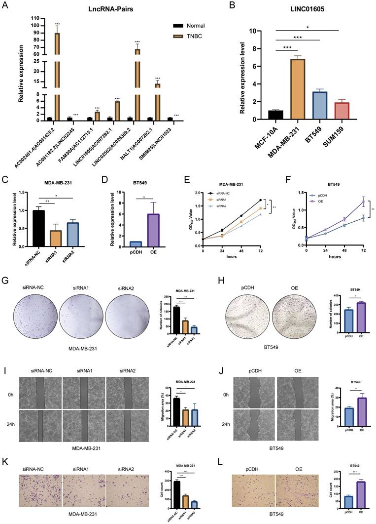 Int J Med Sci Image