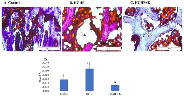 Int J Med Sci Image