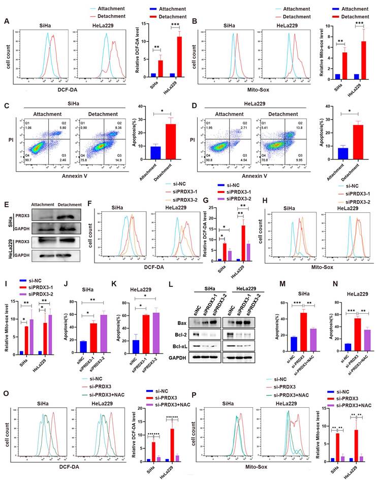 Int J Med Sci Image
