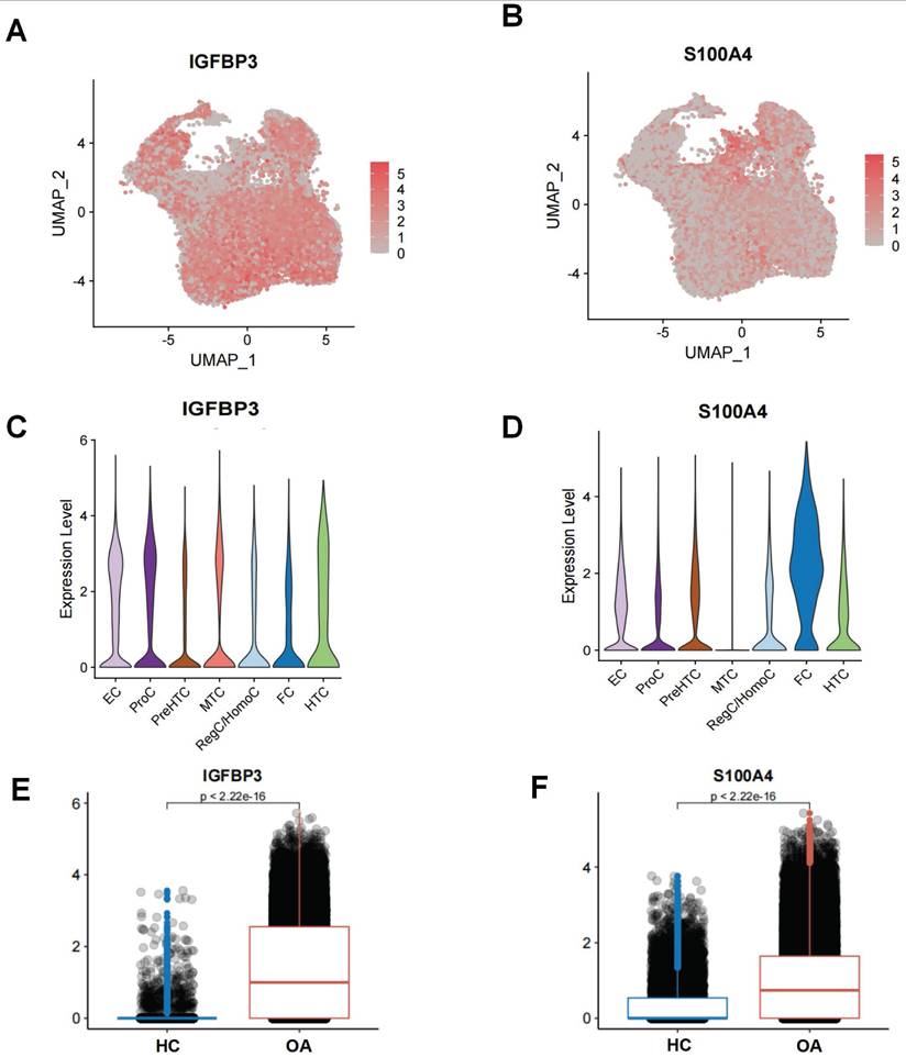 Int J Med Sci Image