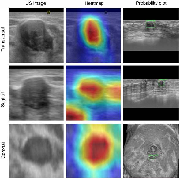 Int J Med Sci Image