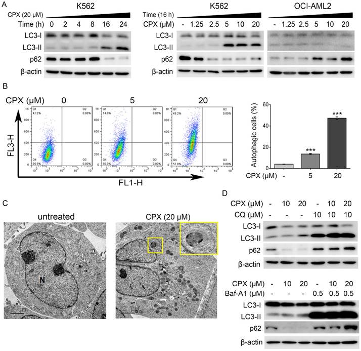 Int J Med Sci Image