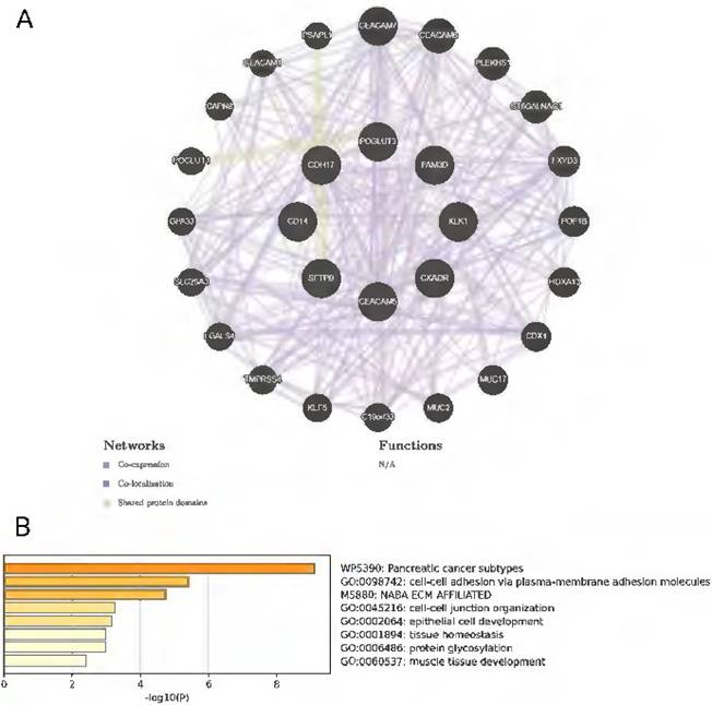 Int J Med Sci Image
