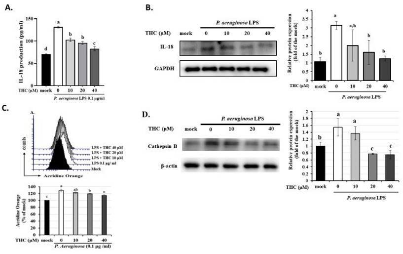 Int J Med Sci Image