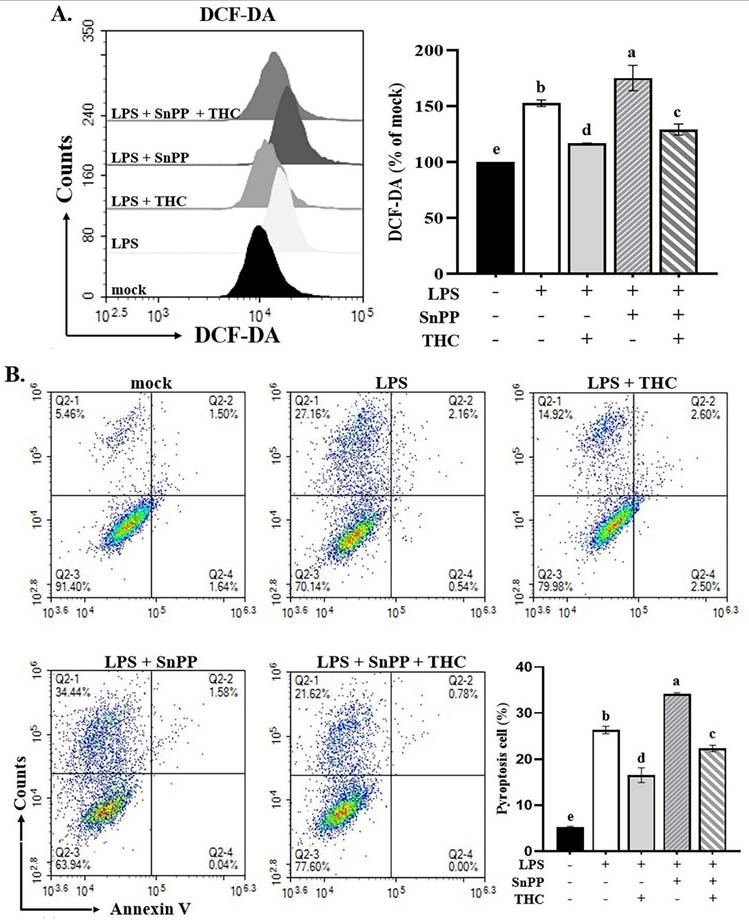 Int J Med Sci Image
