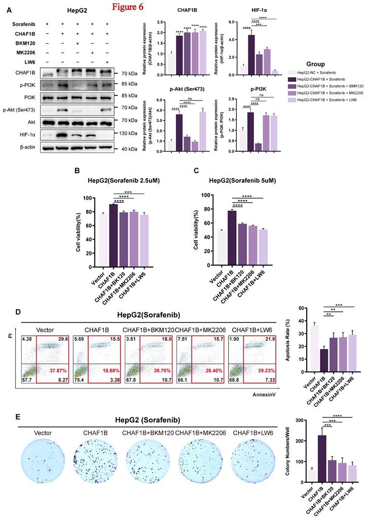 Int J Med Sci Image