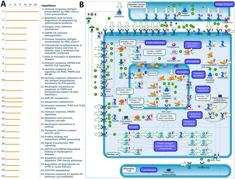 Int J Med Sci Image