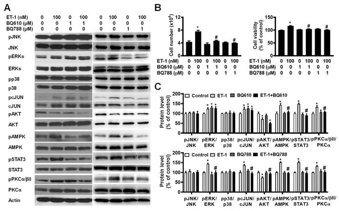 Int J Med Sci Image