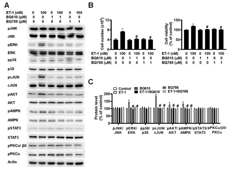Int J Med Sci Image