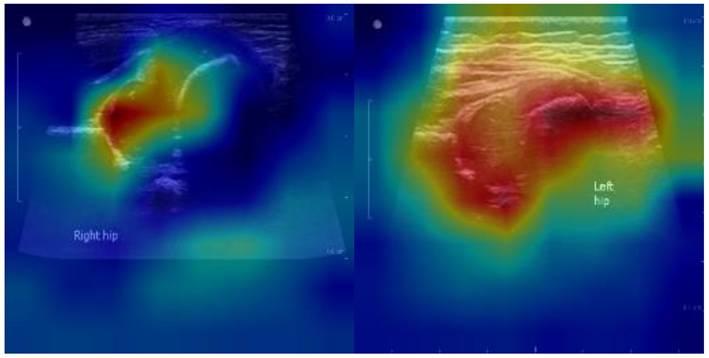 Int J Med Sci Image