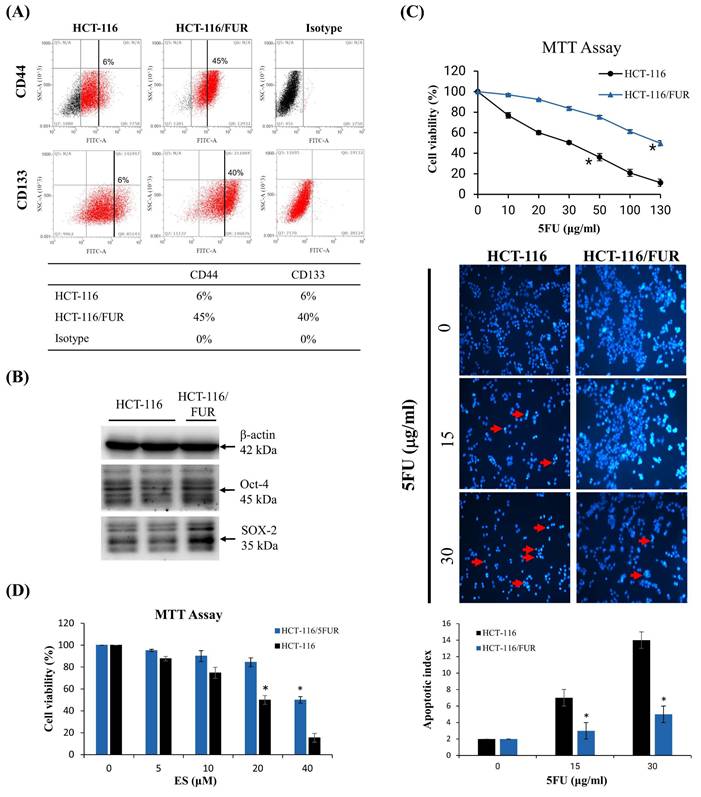 Int J Med Sci Image