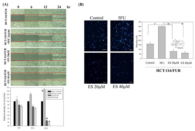 Int J Med Sci Image