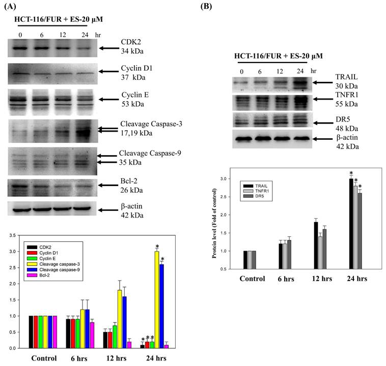 Int J Med Sci Image
