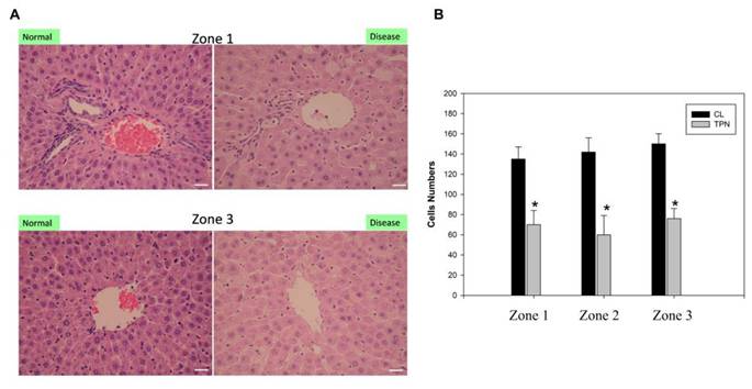 Int J Med Sci Image