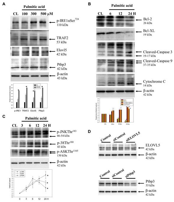 Int J Med Sci Image
