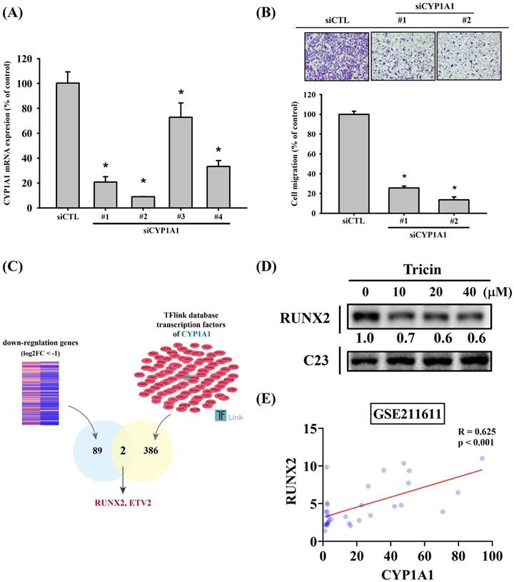 Int J Med Sci Image