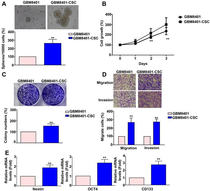 Int J Med Sci Image