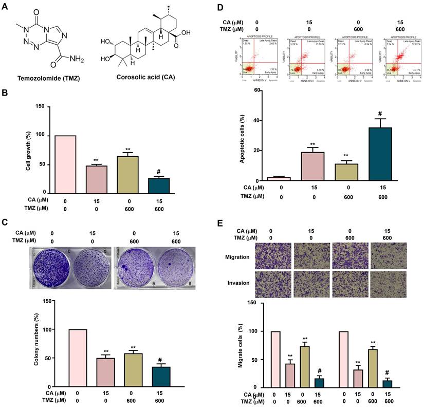 Int J Med Sci Image
