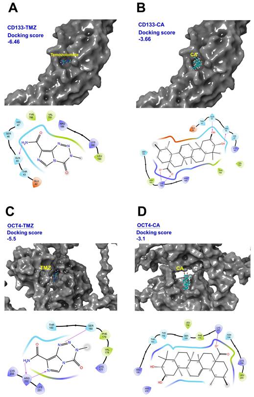 Int J Med Sci Image