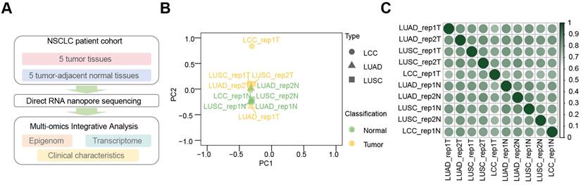 Int J Med Sci Image
