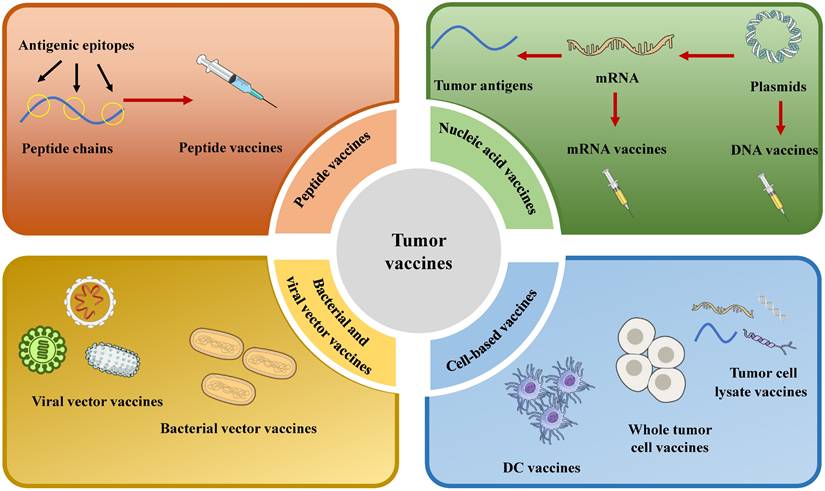 Int J Med Sci Image