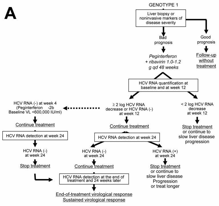 Hep C Viral Load Chart Iu Ml