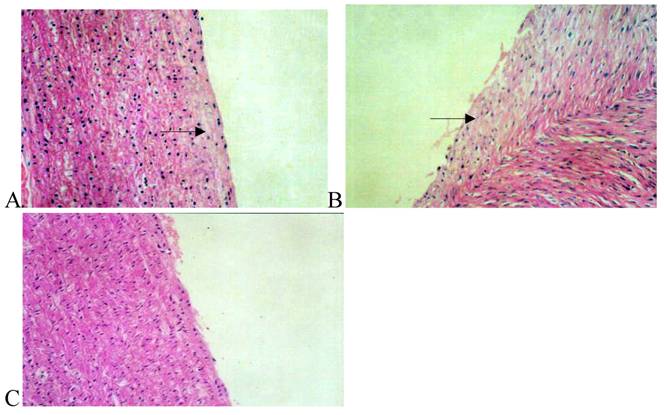 Int J Med Sci Image