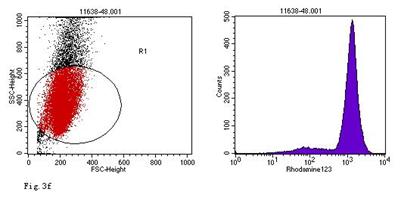 Int J Med Sci Image