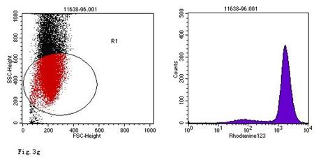 Int J Med Sci Image