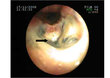 Int J Med Sci Image