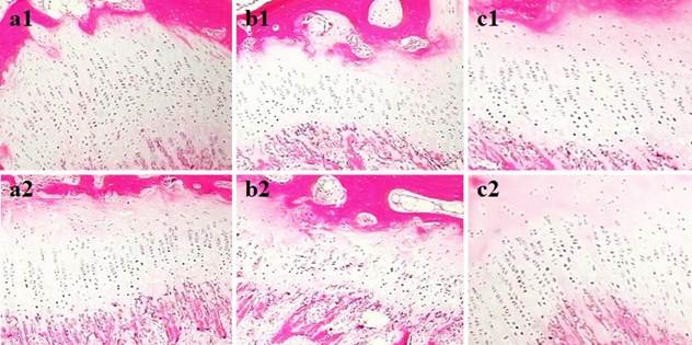 Int J Med Sci Image